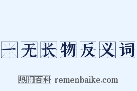 一无长物反义词是什么意思的图片